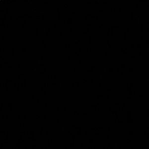 Meet your Posher, Perry